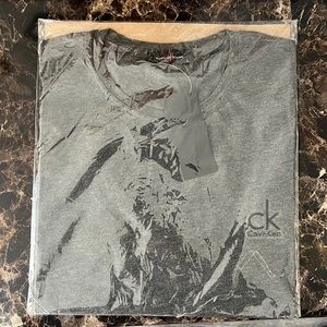 Gray Calvin Klein t shirt.